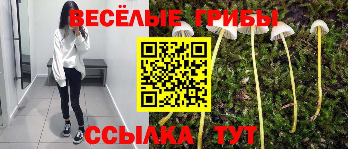 Кубинка  Галлюциногенные грибы MAGIC MUSHROOMS  Вход с VPN 