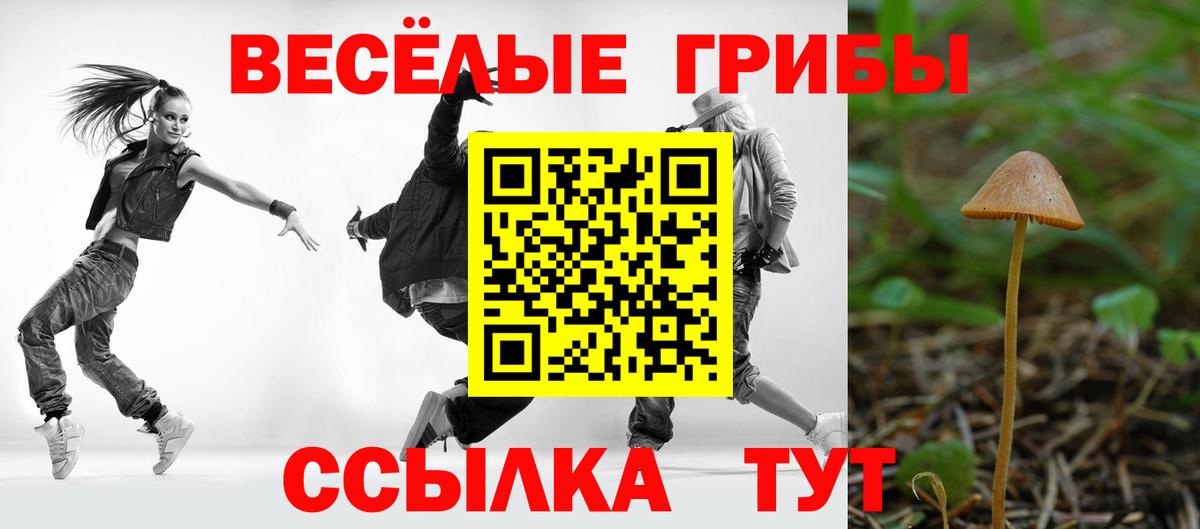 Галлюциногенные грибы GOLDEN TEACHER Кубинка